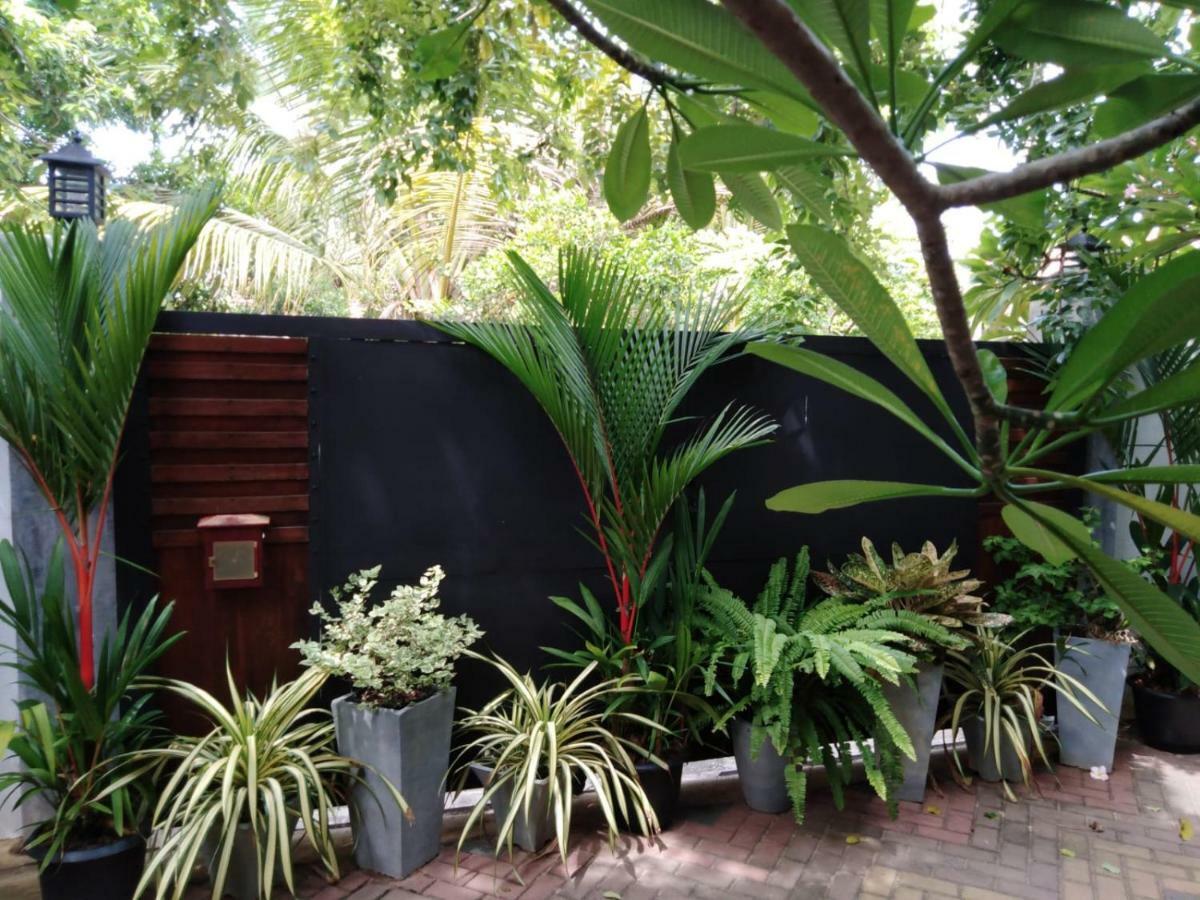 Lija Residence Negombo Kültér fotó
